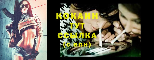 ECSTASY Богородск