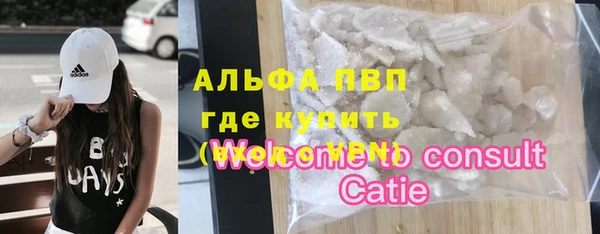 ECSTASY Богородск