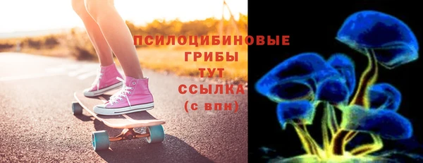 мдпв Богданович