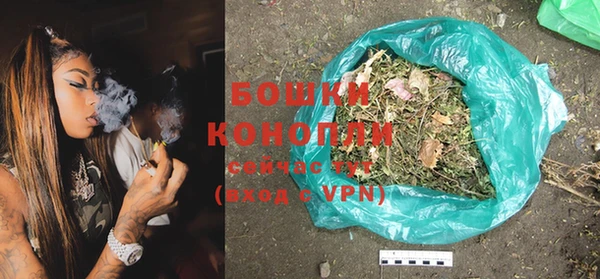 мдпв Богданович