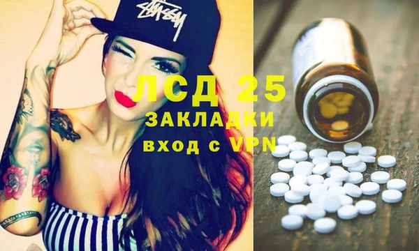 мдпв Богданович